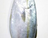 肴鯖鯵鯛鰯鮭鮪鮨！魚の三枚おろしの基本！作り方30写真
