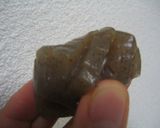 ♥簡単♥蒟蒻に切れ目を入れる方法作り方4写真