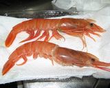 人参のこぶおろしdeスキレットパエリア♪作り方8写真