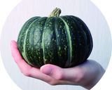 ハロウィンにぴったり！かぼちゃの肉詰め！作り方1写真