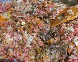 野菜たっぷりひき肉カレー作り方4写真