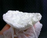 大人の雛祭り♪酒粕チーズケーキ作り方2写真