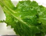 揚げ餃子コチュジャン巻き/甘辛美味しいw作り方1写真