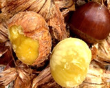 栗の茶碗蒸し作り方8写真