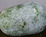 味沁み良し✿冬瓜と八つ頭の煮物作り方1写真