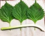 包まないよ♪春巻き作り方2写真