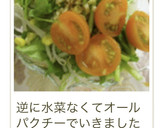 節約☆ちょっと本格☆もやしの中華サラダ作り方16写真