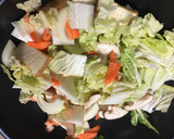 厚揚げと白菜の旨煮作り方3写真