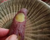 さつま芋のマトリョーシカ♡作り方1写真