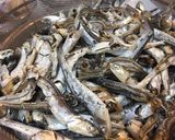 オール自家製！特製濃厚煮干しラーメン作り方23写真