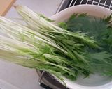 水菜の保存作り方1写真