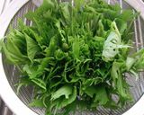 水菜の保存作り方3写真