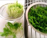 水菜の保存作り方6写真
