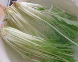水菜の保存作り方4写真