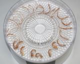 本格的タイ料理☆乾燥食材でグリーンカレー作り方18写真