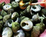 シタナミの塩茹で作り方2写真
