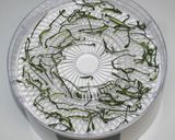 本格的タイ料理☆乾燥食材でグリーンカレー作り方9写真
