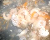 茹でて作る タイ風はるさめサラダ作り方7写真