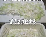 美味ドレのキャベにらモヤシの作り方保存法作り方1写真