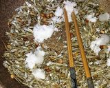 ☆いりこの佃煮☆作り方4写真