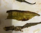 激辛とろっとろ青なんばんの醤油漬け作り方3写真