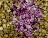 緑豆サラダmoong dal chaat作り方13写真