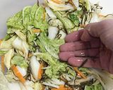 【白菜の松前漬】作り方10写真
