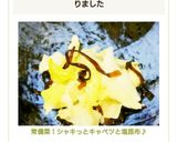 常備菜!シャキっとキャベツと塩昆布♪作り方8写真