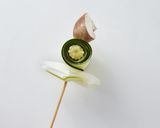 串しゃぶ鍋作り方4写真