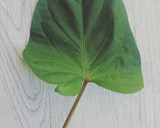 【菜園のレシピ】さつまいもの茎のきんぴら作り方1写真