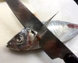 魚の三枚おろし作り方2写真