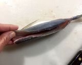 魚の三枚おろし作り方4写真