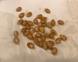 かぼちゃの種を食べました！作り方1写真