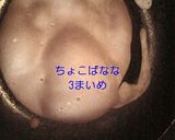 もちっと!分厚めコーヒークレープ☆作り方5写真