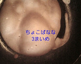 もちっと！分厚めコーヒークレープ☆作り方5写真
