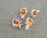 捨てないで♪みかんの皮で甘露煮作り方2写真