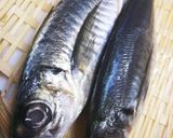 手作りが美味しい！アジの一夜干し♪作り方1写真