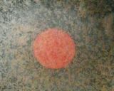 作り置き＊大根とひじきの甘酢漬け作り方8写真