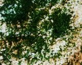 青のり入りパン粉であじフライ作り方2写真