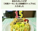 犬用の誕生日ケーキ(*^^*)作り方2写真