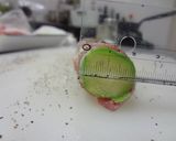 アスパラ肉巻き作り方5写真