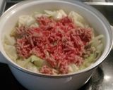 なんちゃって脂肪燃焼スープ作り方3写真