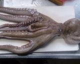 なべじ流たこ飯作り方5写真