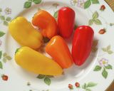 パプリカの豚肉炒め作り方1写真