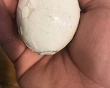 【動画】ゆでたまごをいとも簡単に剥く方法作り方6写真