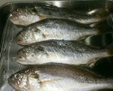 イシモチのフライ タルタルソース添え作り方1写真
