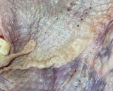 簡単炊飯器で鶏肉チャーシュー作り方1写真