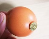 黄身が美味しい☆黄金ゆで玉子作り方1写真