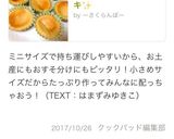 簡単！ミニチーズケーキ✨作り方11写真