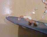 和栗のグラッセ黄金の渋皮煮作り方16写真